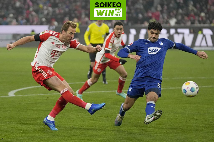 Nhận định, soi kèo Hoffenheim vs Bayern Munich, 20h30 ngày 18/05: Hùm Xám chùn chân